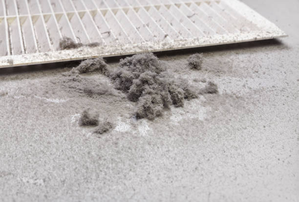 Best Air Duct Cleaning Company Near Me  in Kewanee, IL