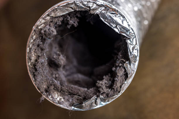 Best Residential Air Duct Cleaning  in Kewanee, IL